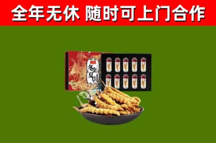 合川区回收冬虫夏草价格